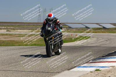 media/Mar-24-2025-2WTD (Mon) [[55b4b08488]]/B Group/1220pm (Wheelie Bump)/